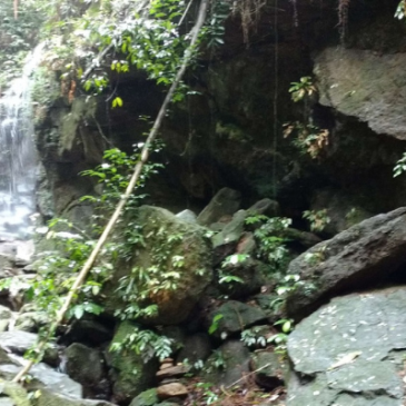 Caminhada na Floresta da Tijuca, no dia 19/09, é a próxima atividade do projeto “Setembro Saúde”