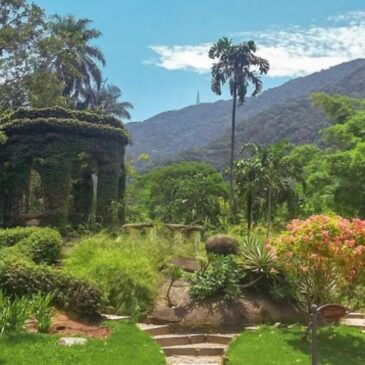 Projeto “Encontros” da DS/Rio convida para um passeio noturno no Jardim Botânico (18/10)