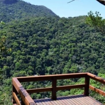 DS/Rio convida colegas trilheiros para caminhada na Floresta da Tijuca neste domingo (23/2)